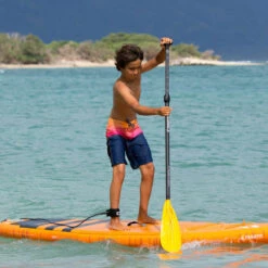 PAGAIE FANATIC RIPPER CARBON 25 VARIO 6.5 -FANATIC Soldes pagaie fanatic ripper carbon 25 vario 65 3